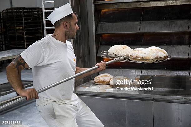 baker taking out freshly baked bread from the oven of a bakery - bäcker stock-fotos und bilder