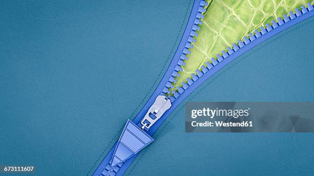 Zipp Texture 14 Zipper Texture High Res Illustrations - Getty Images
