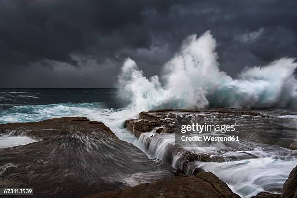 australia, new south wales, clovelly, shark point in the evening - littoral rocheux photos et images de collection