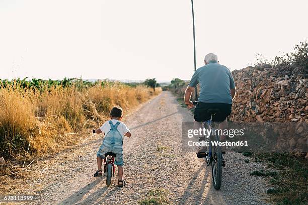 back view of little boy and his great-grandfather on bicycle tour - fahrrad fahren großeltern mit kind stock-fotos und bilder