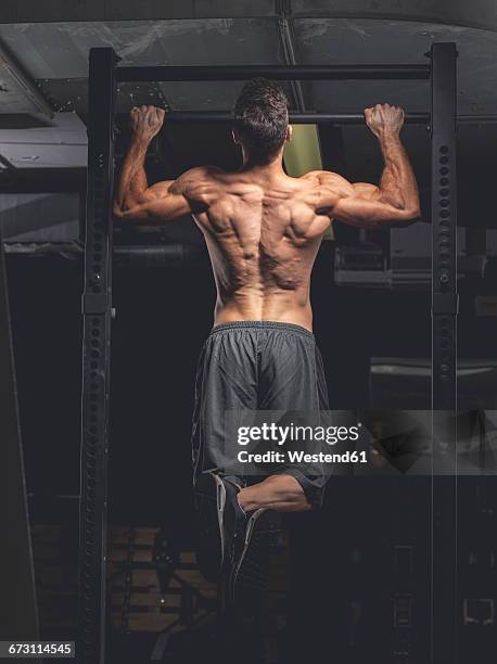 bodybuilder in gym - chin ups stockfoto's en -beelden