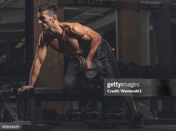 bodybuilder in gym - bodybuilding stock-fotos und bilder