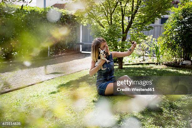 woman taking selfie with her chihuahua in the garden - frau chihuahua stock-fotos und bilder