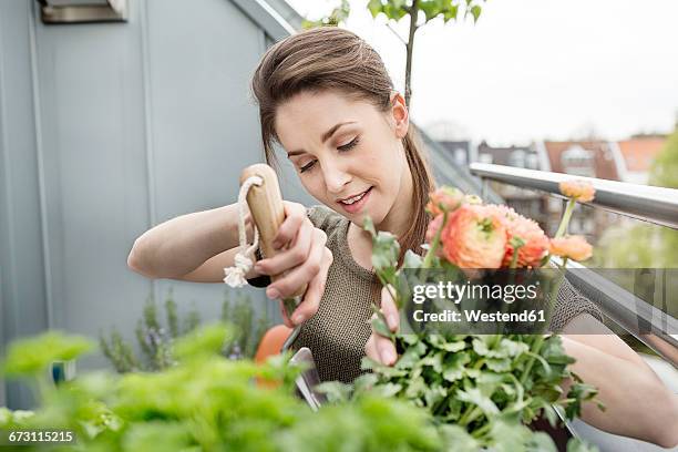 young woman gardening on balcony - window box stock pictures, royalty-free photos & images