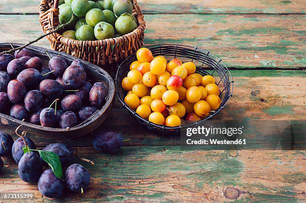 baskets of plums, mirabelles and greengages on wood - greengage stock pictures, royalty-free photos & images