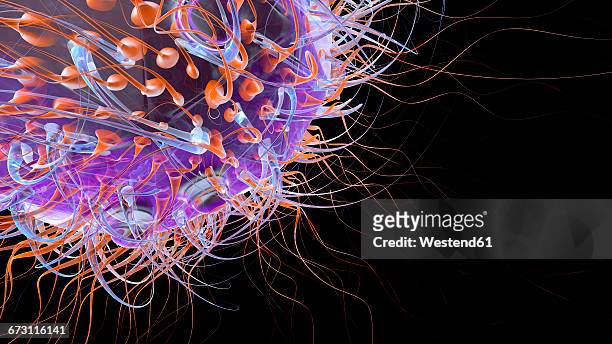 virus similar to hi virus, 3d rendering - infectious disease stock illustrations