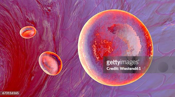 illustrazioni stock, clip art, cartoni animati e icone di tendenza di 3d rendered illustration of erythrocyte cells flowing in a vein or artery - flusso sanguigno sangue umano