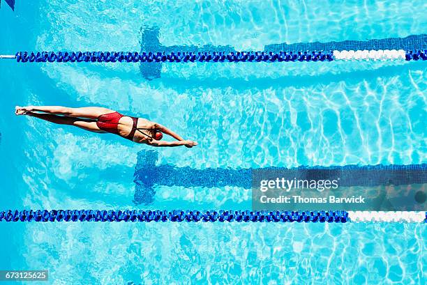 female competitive swimmer diving into pool - dove imagens e fotografias de stock