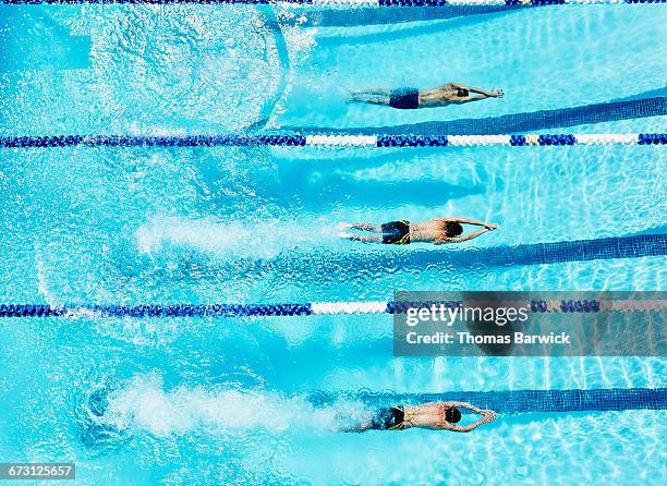 swimmers gliding underwater after diving into pool - vue en plongée verticale photos et images de collection