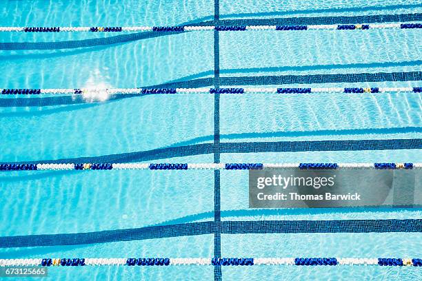 overhead view of empty outdoor competitive pool - swimming lanes stock pictures, royalty-free photos & images