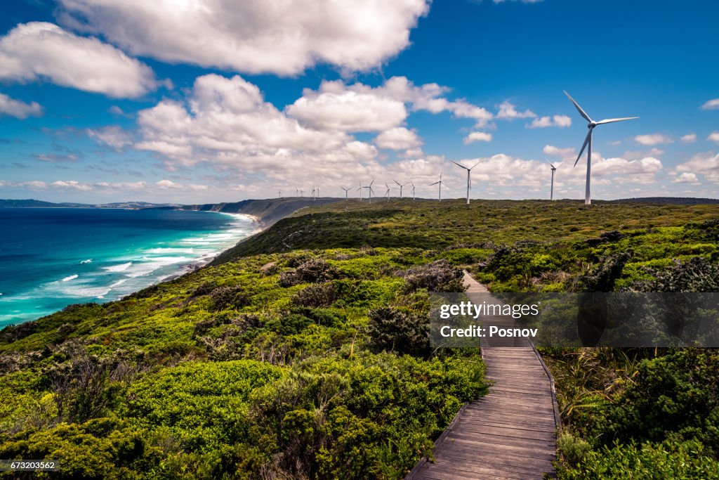 Albany Wind Farm