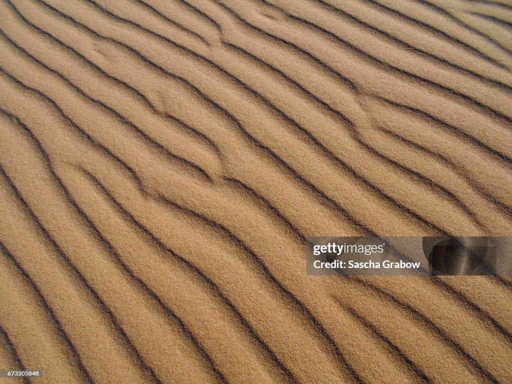 Sahara Desert Sand
