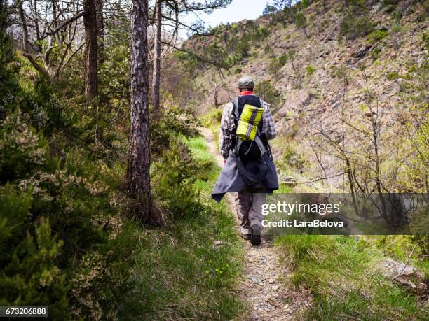 teenage boy hiking in mountains - pioneer stock pictures, royalty-free photos & images