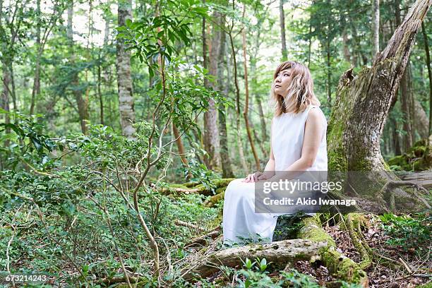 woman sitting on the tree in the forest - akio iwanaga 個照片及圖片檔