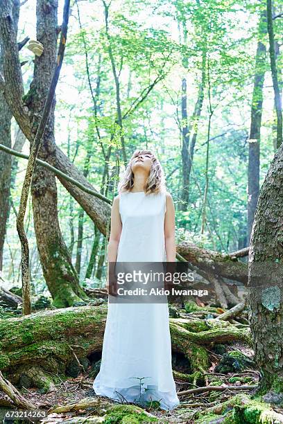woman standing in the forest - akio iwanaga stock pictures, royalty-free photos & images