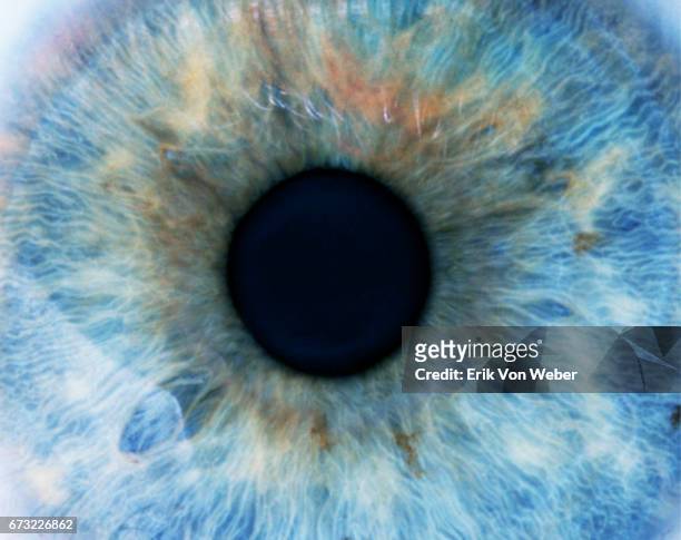 super close up of dilated pupil - 人間の眼 ストックフォトと画像