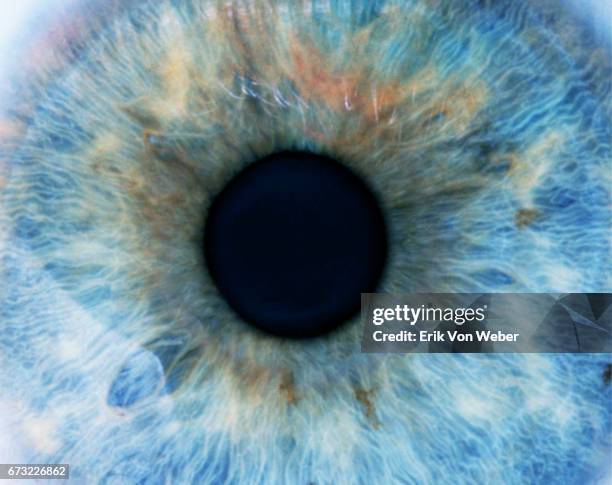 super close up of dilated pupil - close up eyes stock pictures, royalty-free photos & images