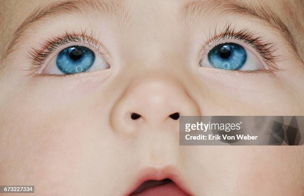 close up of baby's face looking up - male blue eyes stock pictures, royalty-free photos & images
