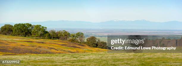 north table mountain ecological reserve, oroville, california - condado de butte califórnia imagens e fotografias de stock