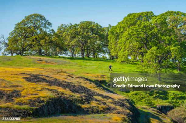 north table mountain ecological reserve, oroville, california - northpark stock pictures, royalty-free photos & images