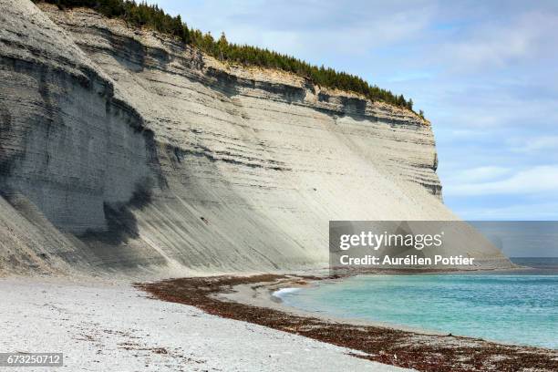 anticosti, baie de la tour - récif de ningaloo photos et images de collection