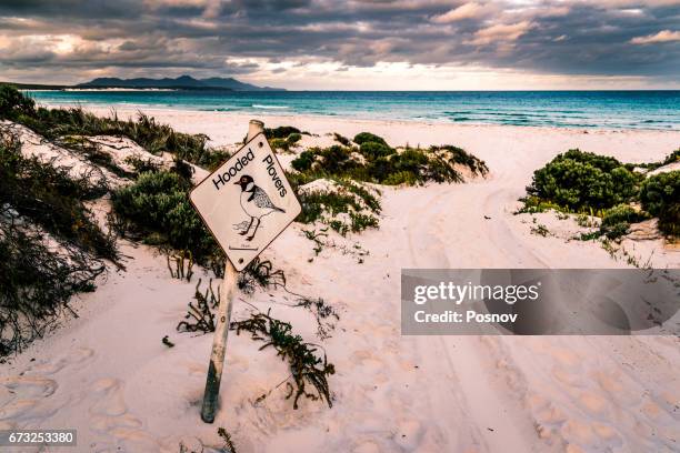 hooded plovers sign at point charles bay in fitzgerald river national park - regenpfeifer stock-fotos und bilder