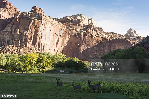 capitol reef np, scenic drive landscape - parque nacional de capitol reef - fotografias e filmes do acervo