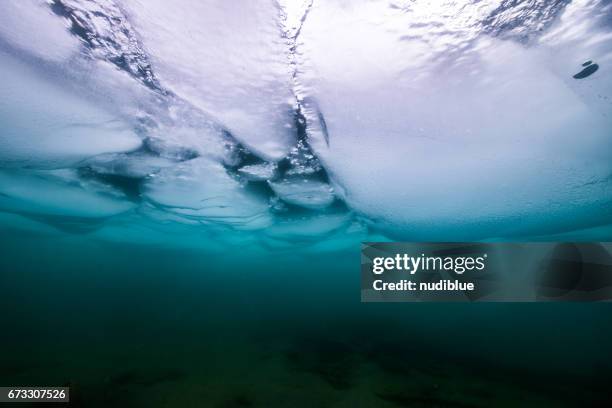 cold water diving - lake baikal stockfoto's en -beelden