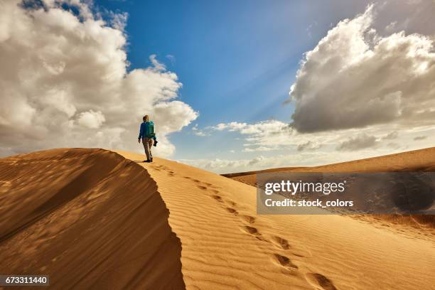 esplorare il deserto - dune foto e immagini stock