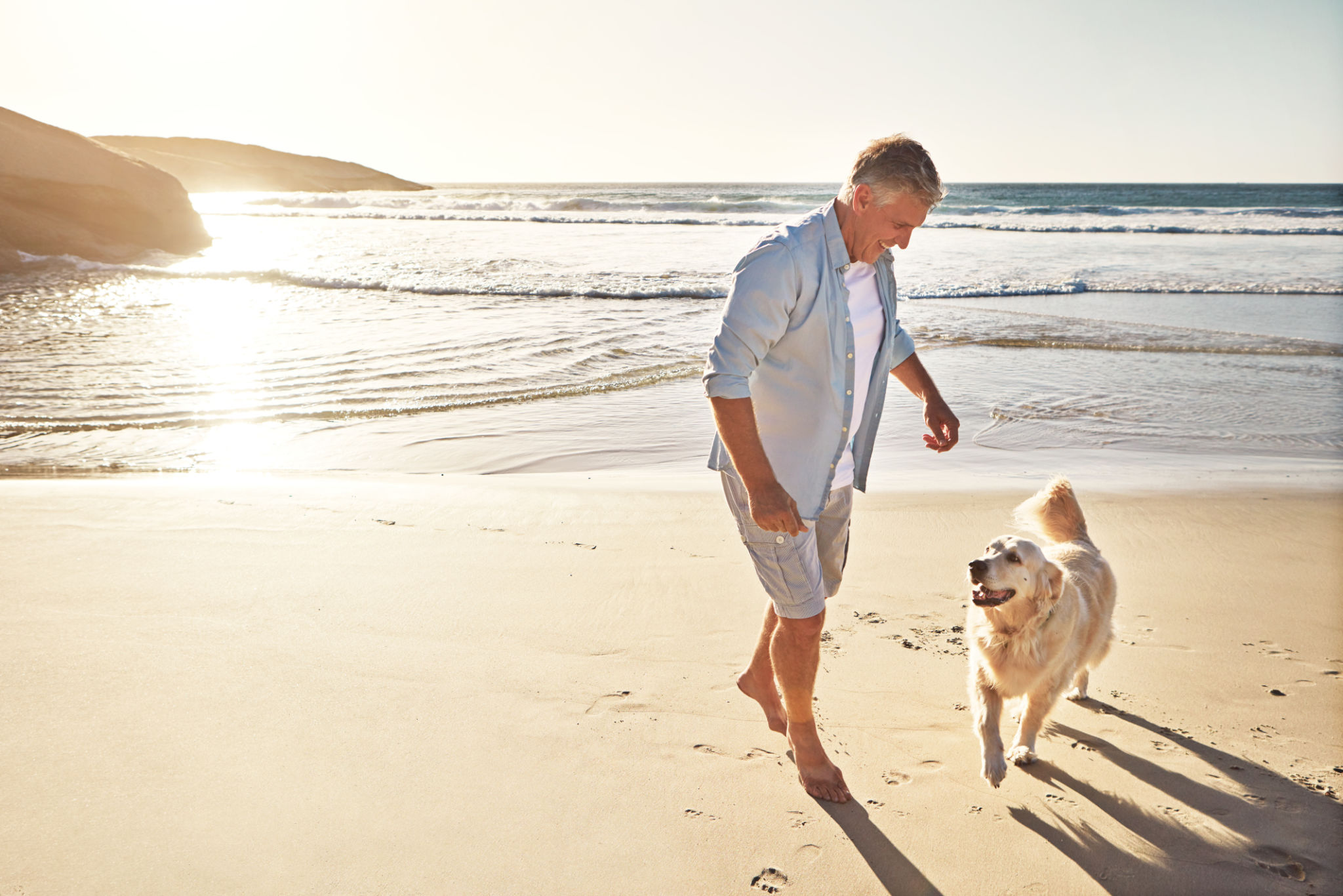 dog beach walk