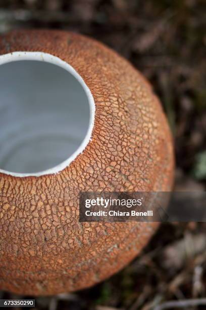 handmade jar - semplicità fotografías e imágenes de stock