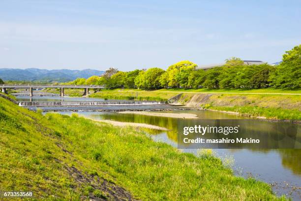 spring view of kamo river, kyoto city - kamo river stock pictures, royalty-free photos & images