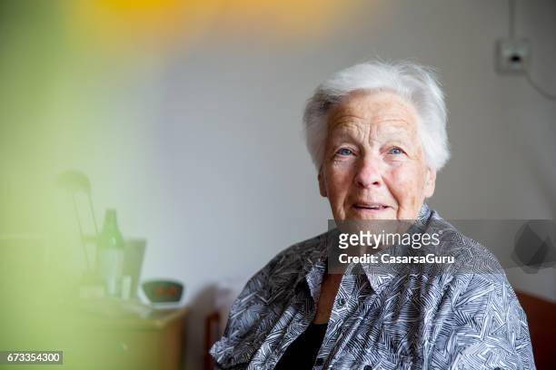 portret van de dame van de senior - senioren stockfoto's en -beelden
