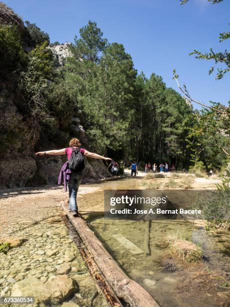 woman during an excursion walking along a path and raise on a trunk on the water of a river, doing balance - female looking away from camera serious thinking outside natural stock pictures, royalty-free photos & images