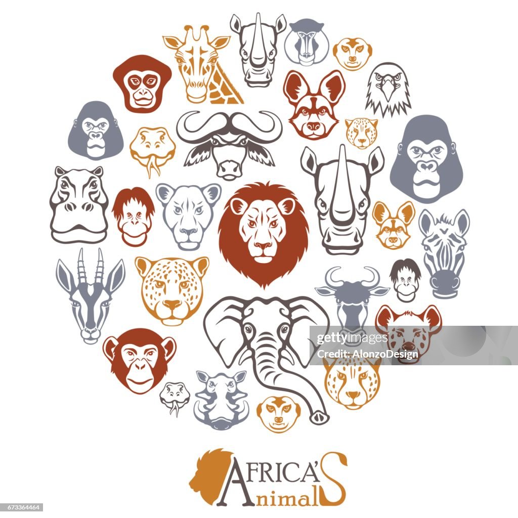 African Animals Collage