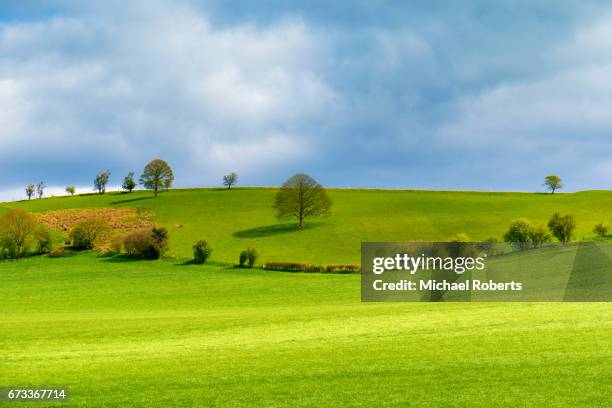 the rolling hills of trelleck in monmouthshire - grass hill stock pictures, royalty-free photos & images