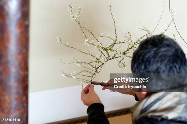 ikebana - ikebana arrangement stock pictures, royalty-free photos & images