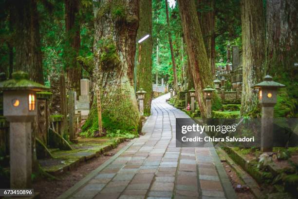 okunoin cemetery on mount kōya, japan - pilgrim stock pictures, royalty-free photos & images