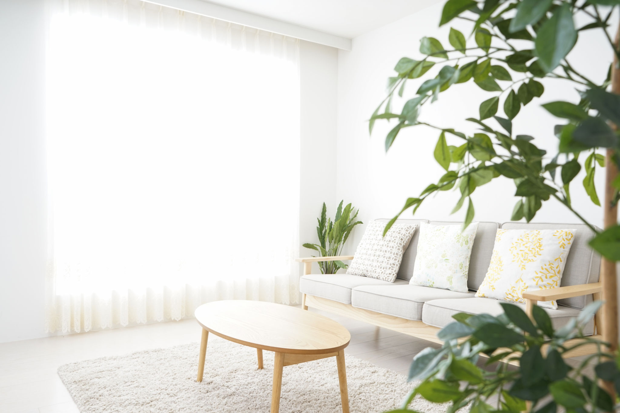 sustainable living room