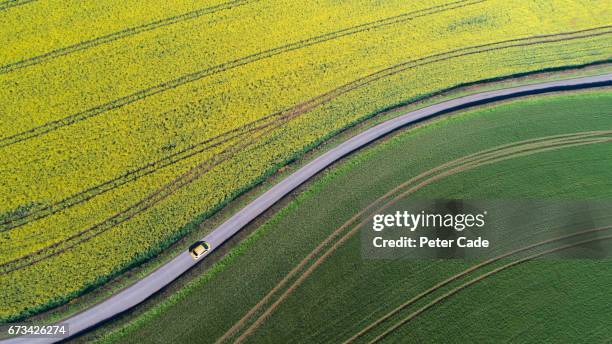 car driving on country road between fields - green road foto e immagini stock