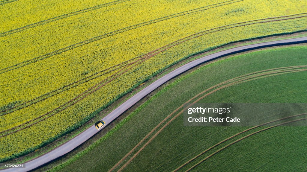 Car driving on country road between fields