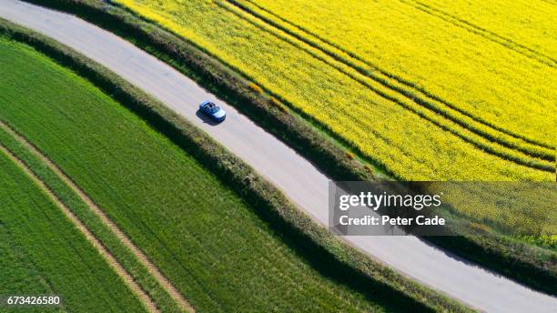 car driving on country road between fields - domestic car fotografías e imágenes de stock