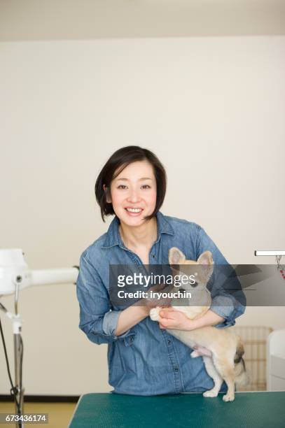 dog trimmer - only japanese stock pictures, royalty-free photos & images