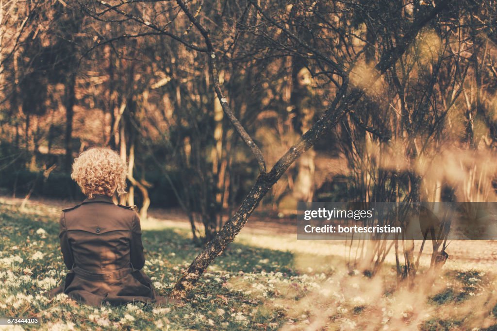 Vista posteriore della ragazza con i capelli ricci che si siedono nel parco