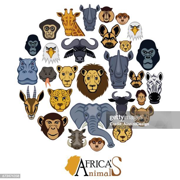 ilustraciones, imágenes clip art, dibujos animados e iconos de stock de collage de caras de animales africanos - mandrill