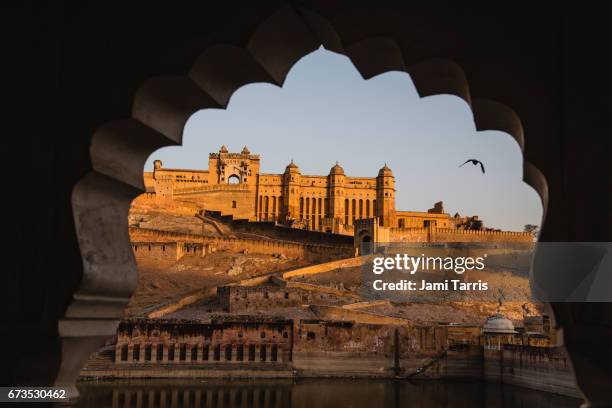the amber fort of jaipur at sunrise - amber fort 個照片及圖片檔