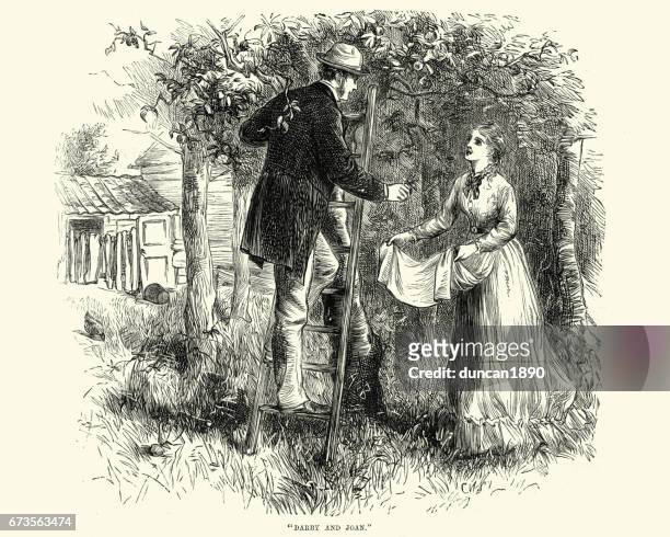 victorian couple picking apples in the orchard, 19th century - apple orchard stock illustrations