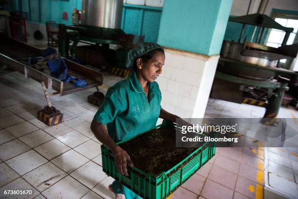 Woman carries a crate of partially processed tea leaves at the factory of the Geragama Tea Estate, operated by Pussellawa Plantations Ltd., in...