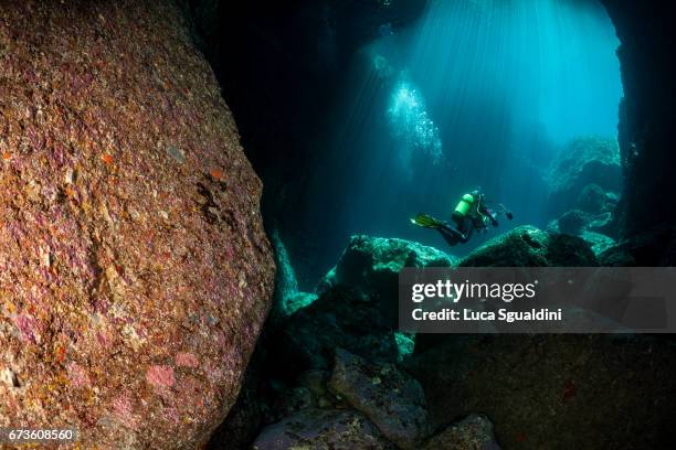grotta verde - scogliera 個照片及圖片檔
