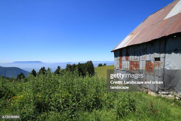 cabanon dans les alpages en été - ciel sans nuage 個照片及圖片檔